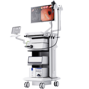 AQ-300 Innovación en imágenes 4K UHD para endoscopia